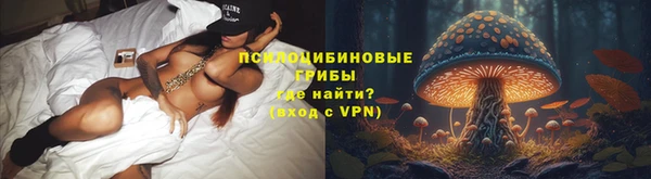 таблы Алзамай
