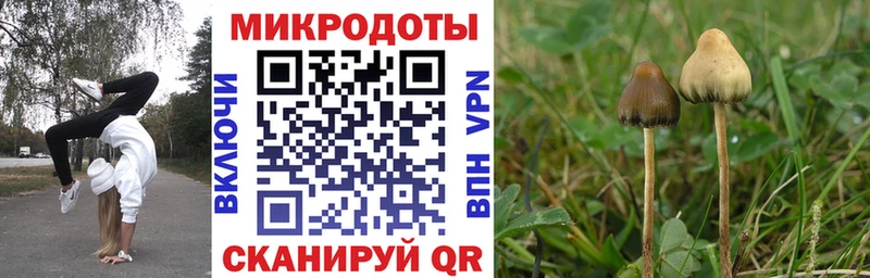 это клад  Лабытнанги  Псилоцибиновые грибы Psilocybe  купить  сайты 